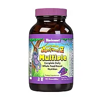 Мультивитамины для Детей, Вкус Винограда, Rainforest Animalz, Bluebonnet Nutrition, 90 жевательных конфет