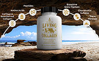 Ancestral Supplements Grass Fed Beef Living Collagen/Клаген 180 капсул BX383, фото 4
