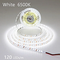 Светодиодная лента SVT 3528 120 Led 6500K Standart  Не герметичная