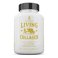 Ancestral Supplements Grass Fed Beef Living Collagen / Коллаген 180 капсул