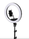 Кільцева LED лампа AL-360 кріплення телефону 220V 36см, фото 4