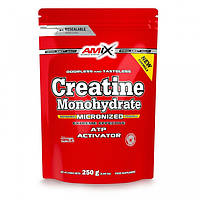 Креатин Amix Nutrition Creatine monohydrate ПАКЕТ, 250 грамм EXP