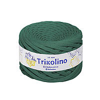 Трикотажна пряжа Trikolino, ширина нитки 3-5 мм., довжина мотка 100 м., Пепельная полынь, нитки для в'язання