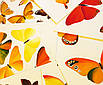 Авторська хустка Золоті метелики, фото 4