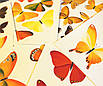 Авторська хустка Золоті метелики, фото 6