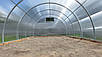 Теплиця 4х8м "Говерла" з полікарбонатом 4мм, фото 2