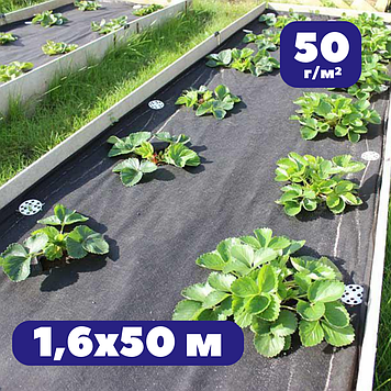 Мульчуче агроволокно 50 г/м² чорне 1,6х50м проти бурʼянів AgroStar для винограду санбонд для укриття ґрунту