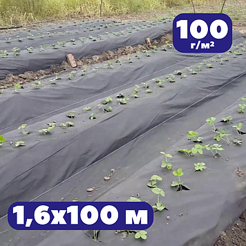 Мульчуче агроволокно 100 г/м² чорне 1,6х100м проти бурʼянів AgroStar для винограду санбонд для укриття ґрунту