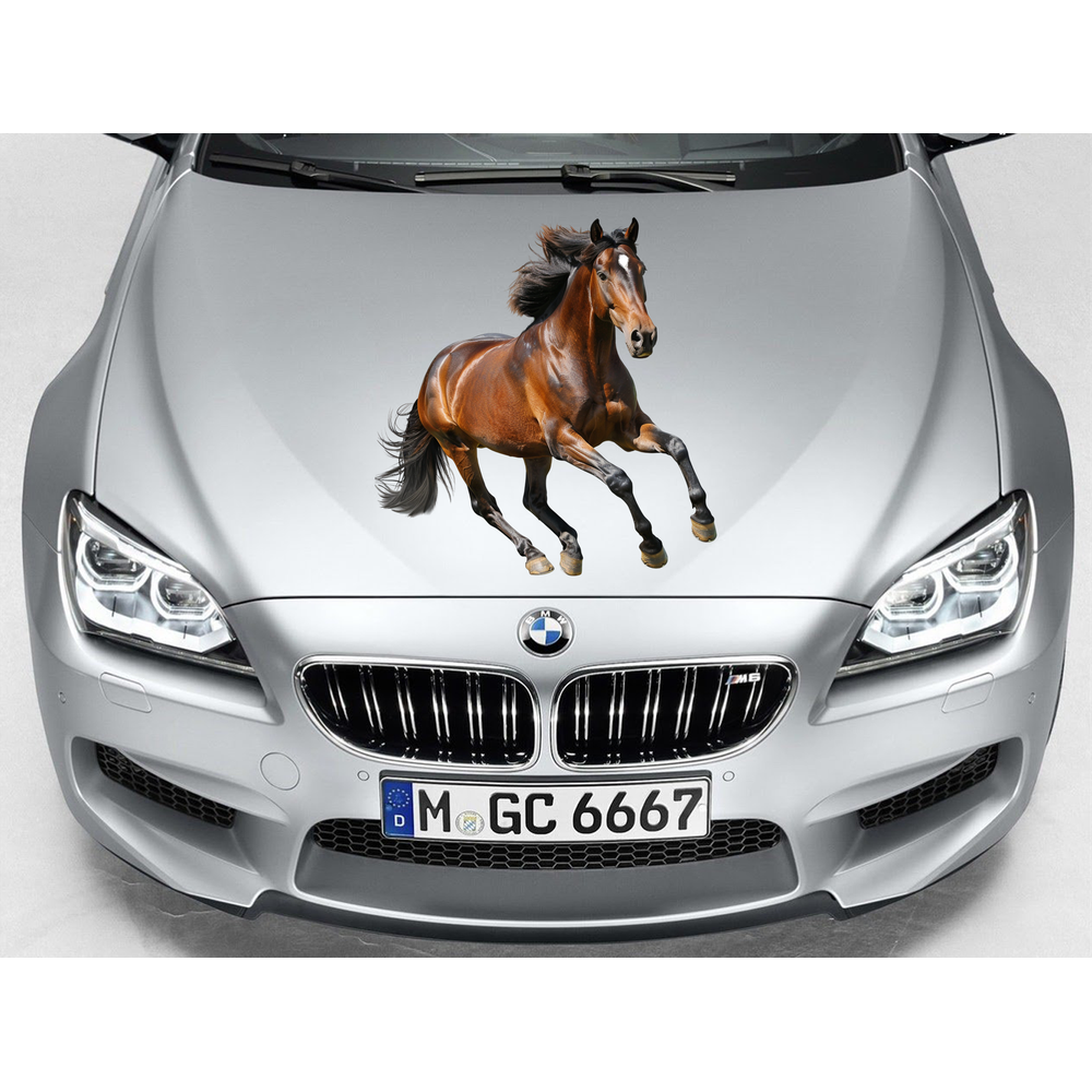 Велика водостійка наклейка з конем 80x80см.