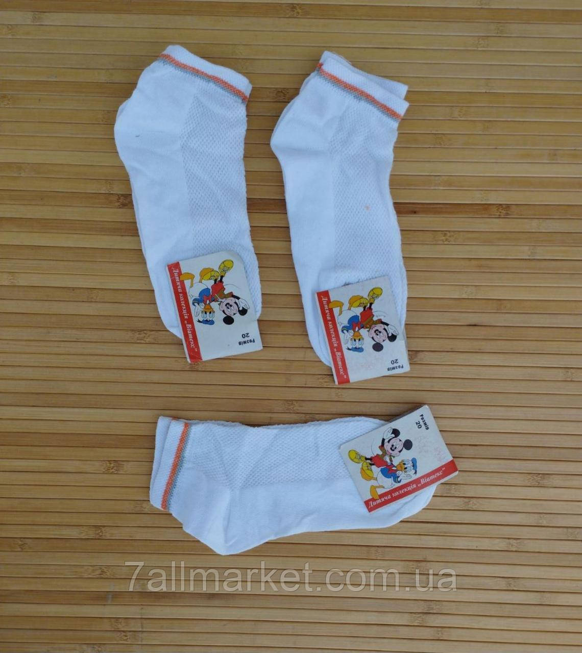 Шкарпетки дитячі тонкі сітка ВІАТЕКС р-р 20 (12 шт./пач.) "MARI" купити недорого від прямого постачальника