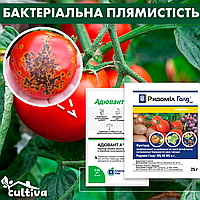 Бактериальная пятнистость на томатах комплект защиты