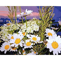 Картини за номерами ромашки Живопис за номерами намальовані квіти Картина за номерами Пейзаж ромашок 40х50 Rainbow Art