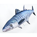 Подушка-іграшка Gaby Іспанська макрель 97х33см (3KB2111), фото 2