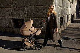 Універсальна коляска 2в1 Anex Eli, secret