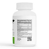 Лецитин соняшниковий 98% фосфоліпідів для нервової системи у капсулах envie lab, фото 2