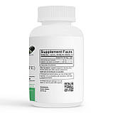 Залізо 36 мг. для підвищення гемоглобіну в таблетках з вітаміном С 100 капс. Envie Lab, фото 2