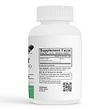 Куркумін (Curcumin) 500 мг 60 капсул Envie Lab, фото 2