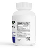 Мелатонін 3 мг + магній В6 для сну 90 капс. Envie Lab, фото 2