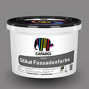 Фасадні мінеральні силікатні фарби