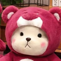Мягкая плюшевая игрушка медведь Тедди в капюшоне, плюшевый мишка в одежде, 50 см