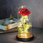 Троянда в колбі з підсвічуванням + Подарунок Каблучка з проекцією "I love you" / Вічна троянда під куполом / Квітка-нічник, фото 2