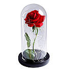 Троянда в колбі з підсвічуванням + Подарунок Каблучка з проекцією "I love you" / Вічна троянда під куполом / Квітка-нічник, фото 3