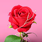 Троянда в колбі з підсвічуванням + Подарунок Каблучка з проекцією "I love you" / Вічна троянда під куполом / Квітка-нічник, фото 7