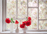 Матовая пленка Нежные цветы Zatarga на окна и перегородки от соседей, разделитель пространства