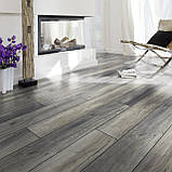 Ламінат Kronotex 10 мм Amazone 3572 Дуб Harbour Oak grey, фото 3