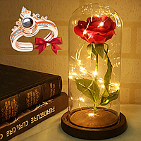 Роза в колбе 20см с LED подсветкой, Красная + Подарок Кольцо "I love you" / Вечная роза / Ночник роза в колбе