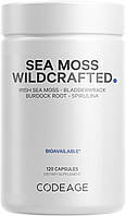 CodeAge Wildcrafted Sea Moss / Сырые морские водоросли для поддержки щитовидной железы 120 капсул