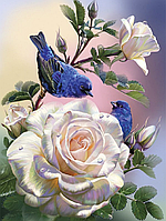 Алмазная мозаика (вышивка) "Синие птички на розах", 30х40 см, полная выкладка, квадратные камни, без