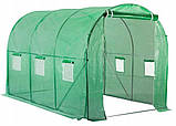 Теплиця, парник армована плівкова 6 м2 з вікнами 3х2х2м Bass Polska 8597 зелена, фото 4
