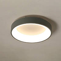 Светильник светодиодный потолочный Ceiling M Gray 48W