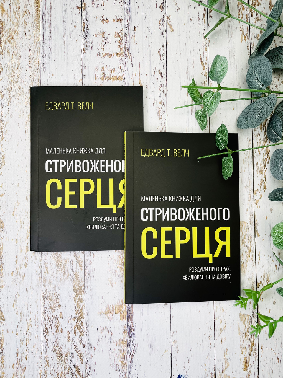 Маленька книжка для стривоженого серця. Едвард Т. Велч