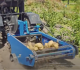 Копалка транспортерна зі зміщеним центром КК22, фото 3
