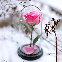 Вечная роза в колбе с подсвтекой, Беспроигрышный подарок девушке, подарок на 8 марта, цветок в колбе, si