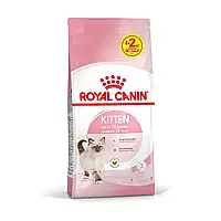 Акція! Корм для кошенят ROYAL CANIN KITTEN 8+2 кг в подарунок!