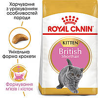 Акция! Корм для котят ROYAL CANIN KITTEN BRITISH SHORTHAIR 8+2 кг в подарок!