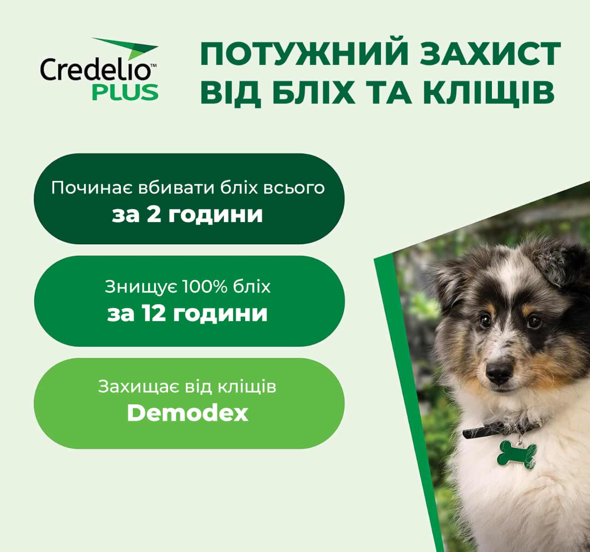 Кределио ПЛЮС от блох клещей и гельминтов №3 таблетки для собак весм 1.4 - 2.8 кг Elanco - фото 3 - id-p2126384768