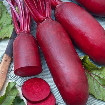 Насіння Буряка Циліндра (3г)