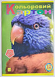 Кольоровий картон А4 ОДНОСТОРОННІЙ 12 кольорів «КОЛЕНКОР» / набір кольорового картону / CK12, фото 2