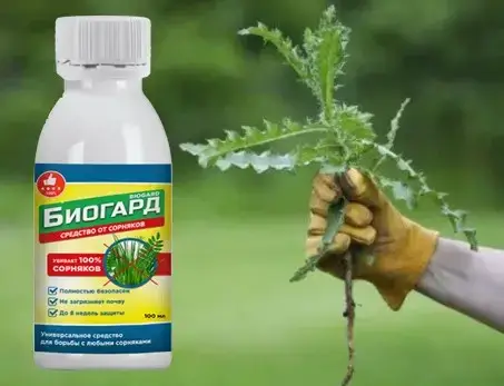 Біогард (Biogard) біогербіцид від бур'янів No1 100 мл, фото 1