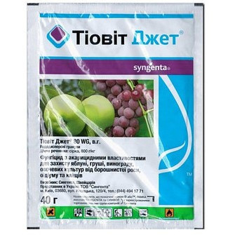 Фунгицид Тиовит Джет 40 г, Syngenta - фото 3 - id-p30948449