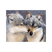 Картини за номерами 40×50 см. Ніжне почуття. Brushme 7710