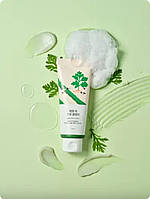 Round lab mugwort calming cleanser заспокійлива очищуюча пінка з полином