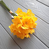 Букет нарциси 6 гілок, фото 3