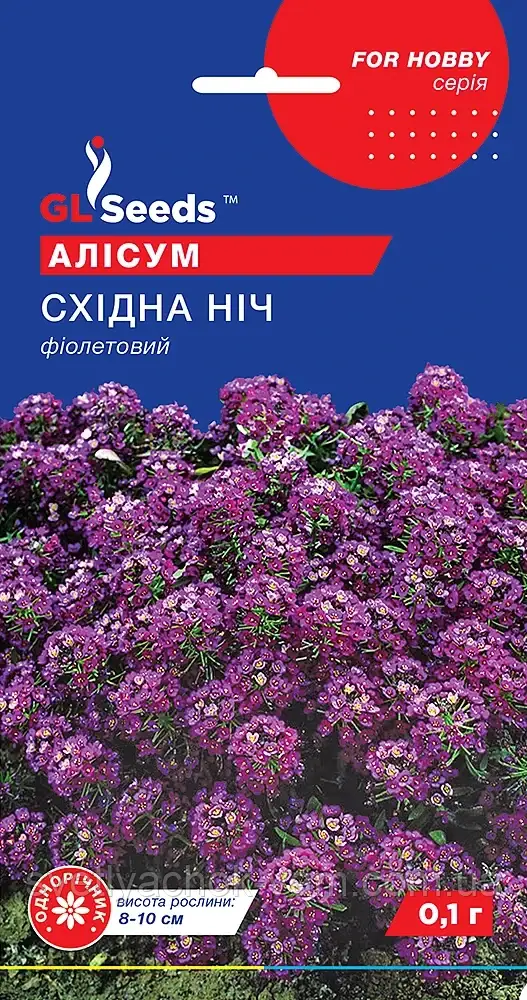 Аліссум Східна Ніч фіолетовий карликовий рясно квітучий, паковання 0,1 г