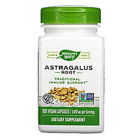 Astragalus Root - 100 vcaps