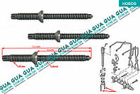 Болт / винт крепления форсунки 1шт RWS2074 Citroen / СИТРОЭН JUMPY III 2007- / ДЖАМПИ 3, Citroen / СИТРОЭН